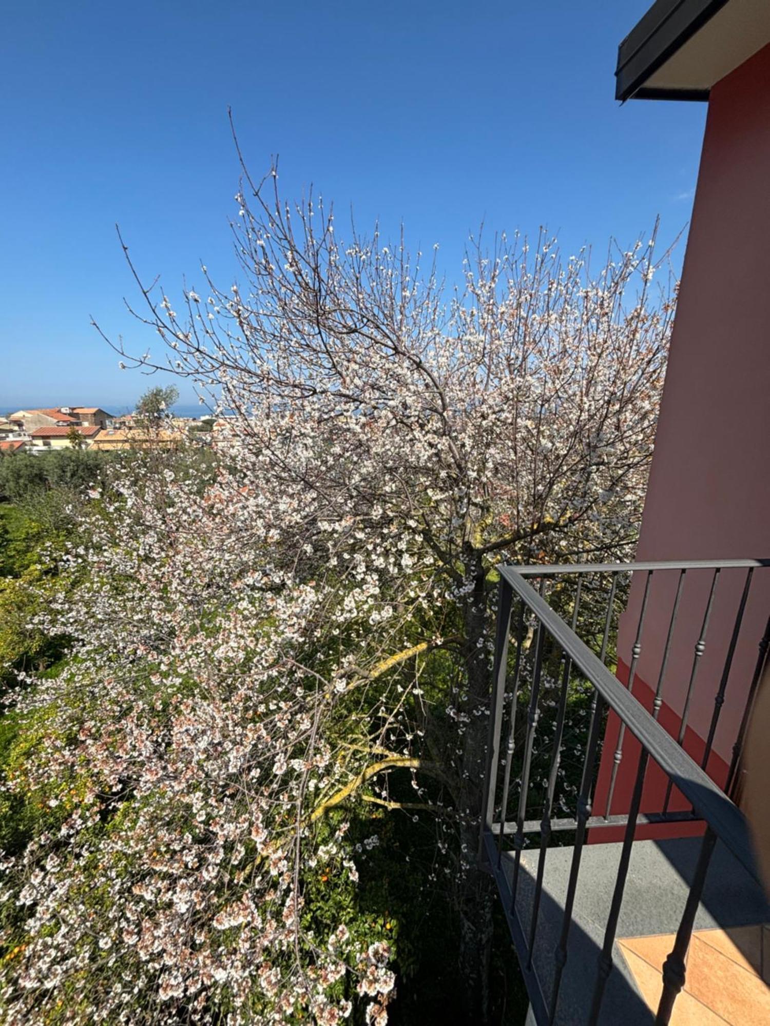 Intero Appartamento A Sant'Agnello , Le Ortensie Luaran gambar